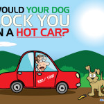 Mr. Locksmith Nanaimo – Would Your Dog Lock